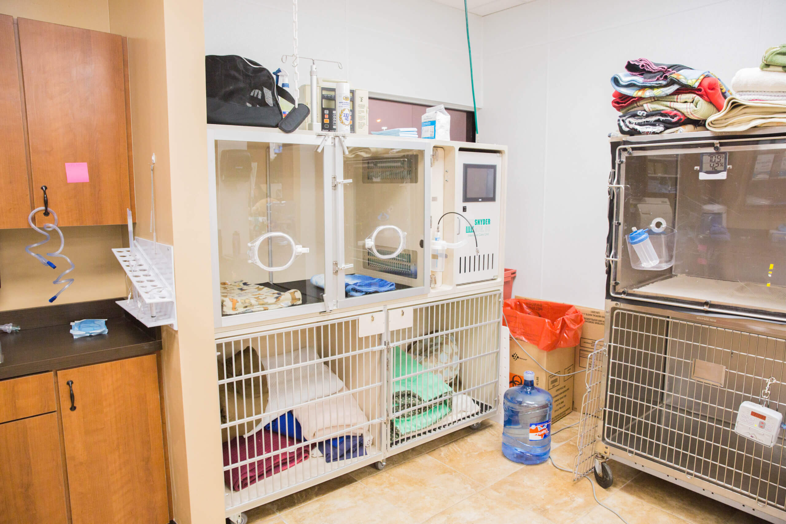 Veterinarian Emergency Clinic Animal Emergency Clinic NE